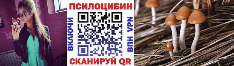 Псилоцибиновые грибы прущие грибы  Геленджик 