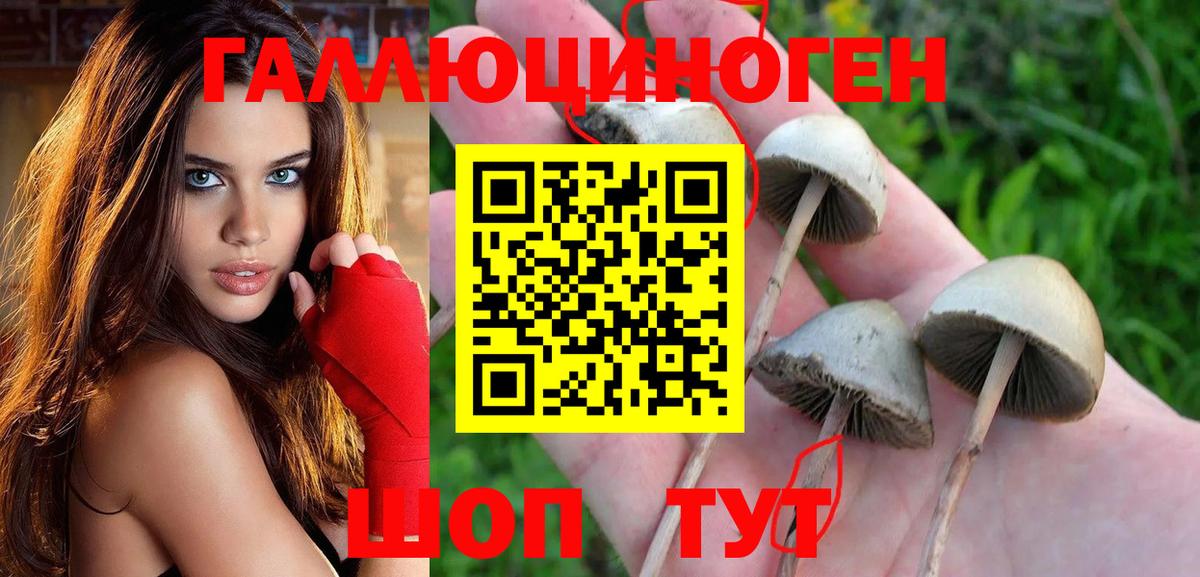 Псилоцибиновые грибы мицелий Геленджик